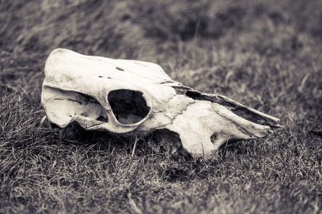 Nick Miners Nick Miners