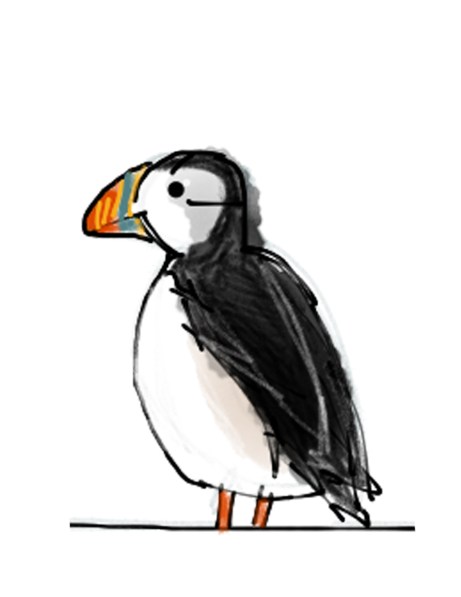 puffin!